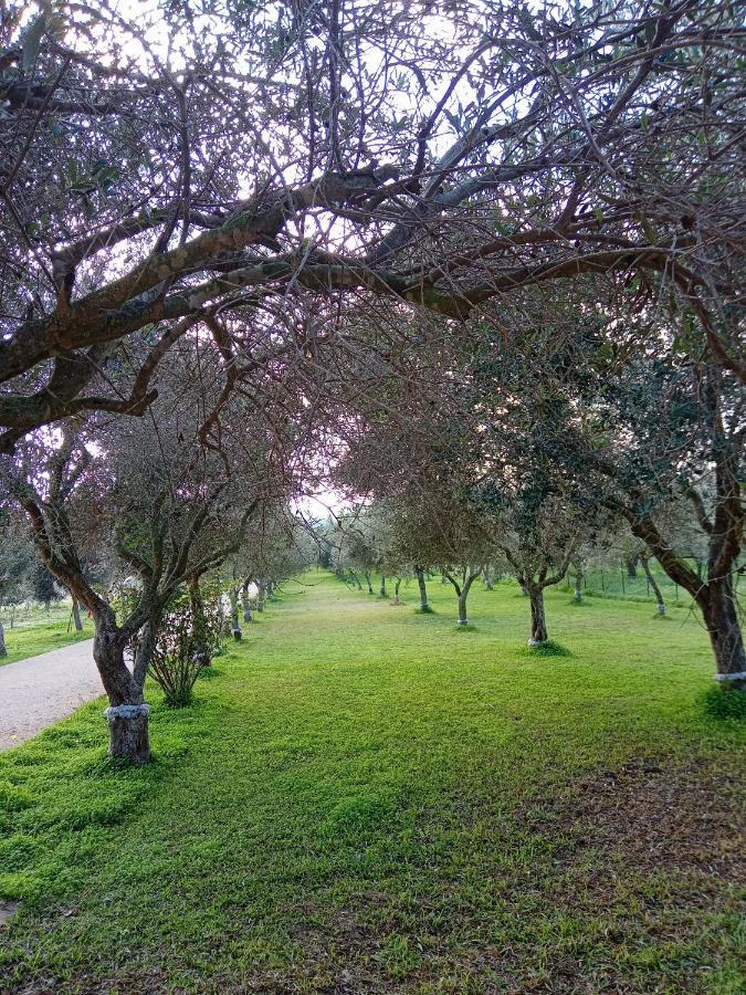 Il Poggetto Marzamemi B&B Eksteriør billede